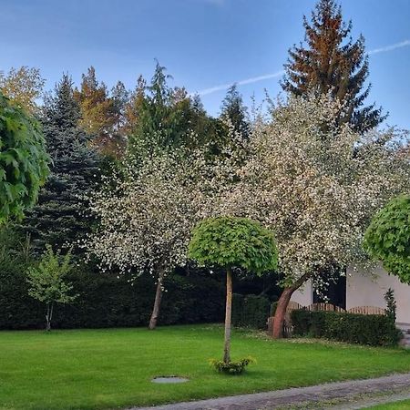 Pod Jablonia Bydgoszcz Exterior foto