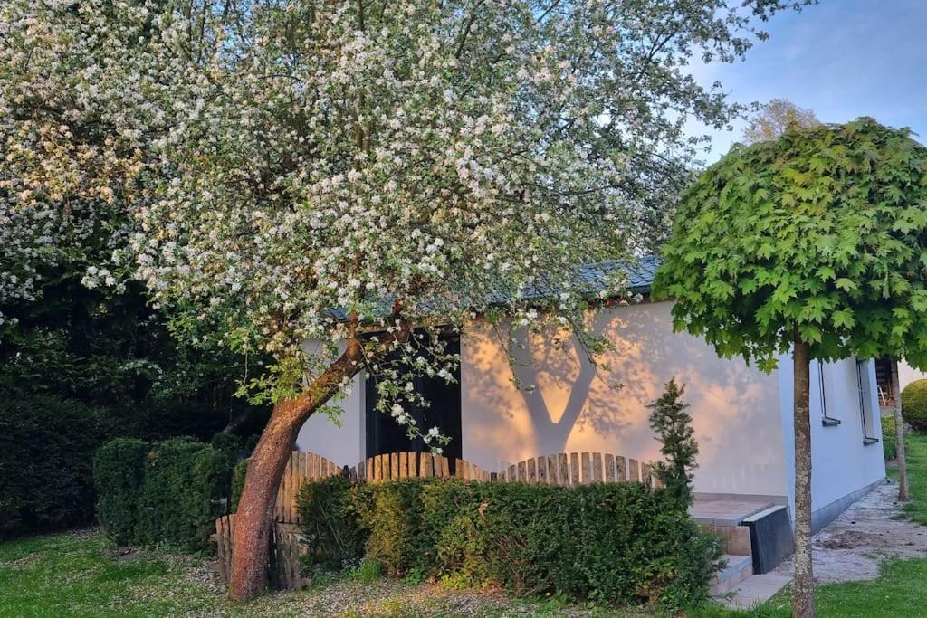 Pod Jablonia Bydgoszcz Exterior foto